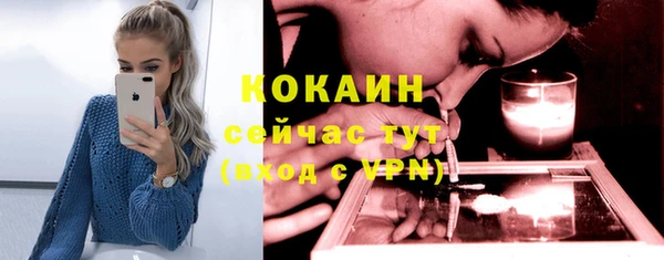 молекула духа Мегион