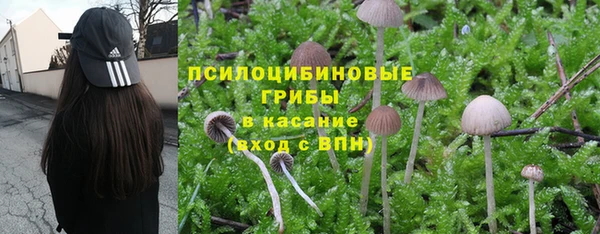 ECSTASY Надым