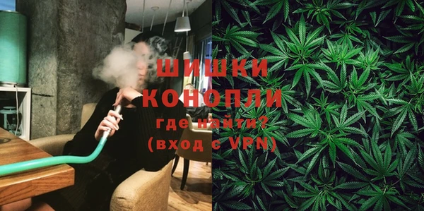 молекула духа Мегион